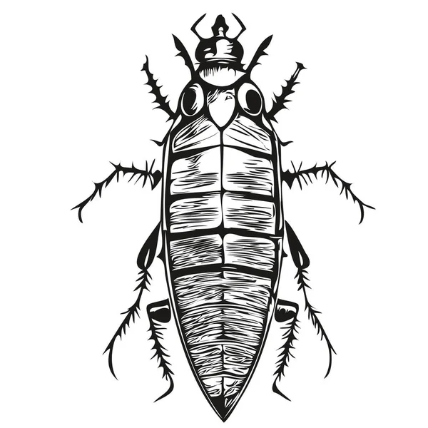 白い背景にゴキブリのシルエットのベクトル画像 ゴキブリ — ストックベクタ