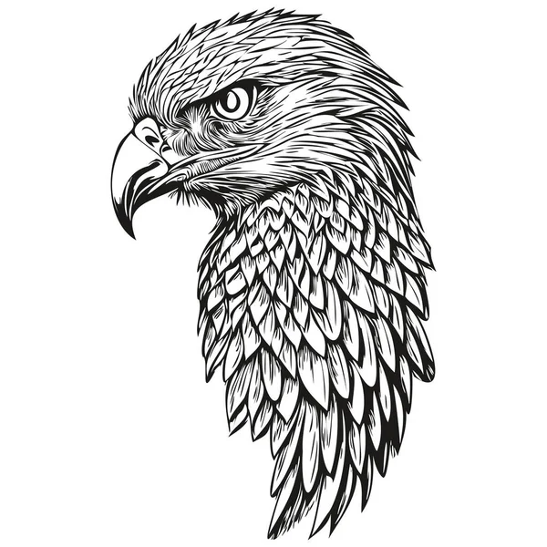 Desenho Águia Desenho Manual Vida Selvagem Estilo Gravura Vintage Bir — Vetor de Stock