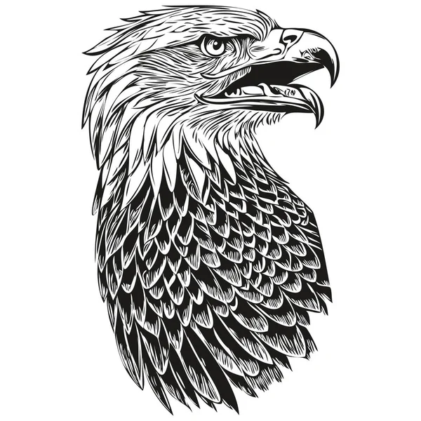 Logotipo Águia Ilustração Preto Branco Mão Desenho Bir — Vetor de Stock