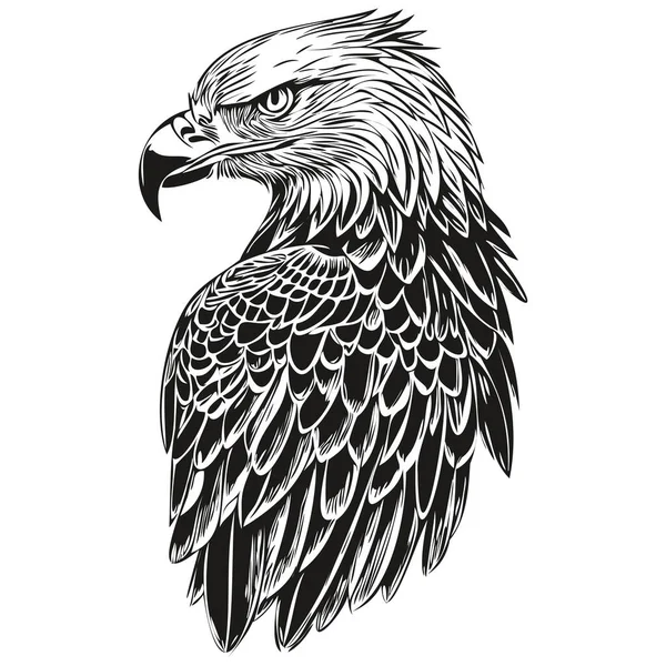 Desenho Águia Desenho Manual Vida Selvagem Estilo Gravura Vintage Bir — Vetor de Stock