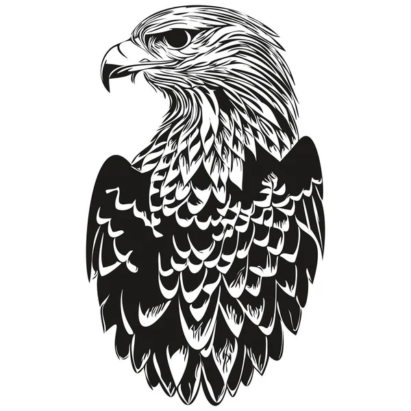 Aigle Croquis Portrait Graphique Aigle Sur Fond Blanc Bir — Image vectorielle