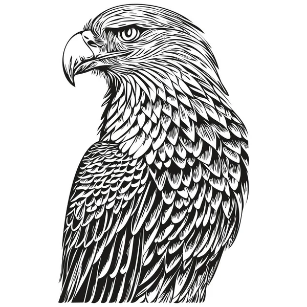 Adler Vektor Illustration Linie Kunst Zeichnung Schwarz Und Weiß Bir — Stockvektor