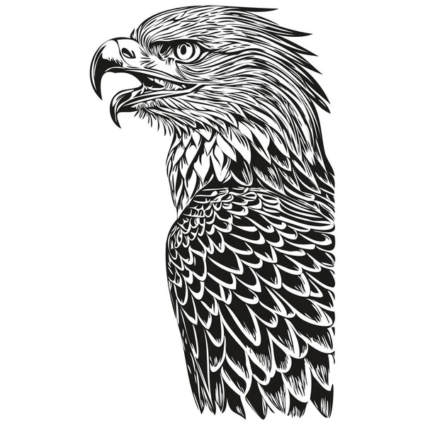 Divertido Águila Dibujos Animados Línea Arte Ilustración Tinta Boceto Bir — Vector de stock