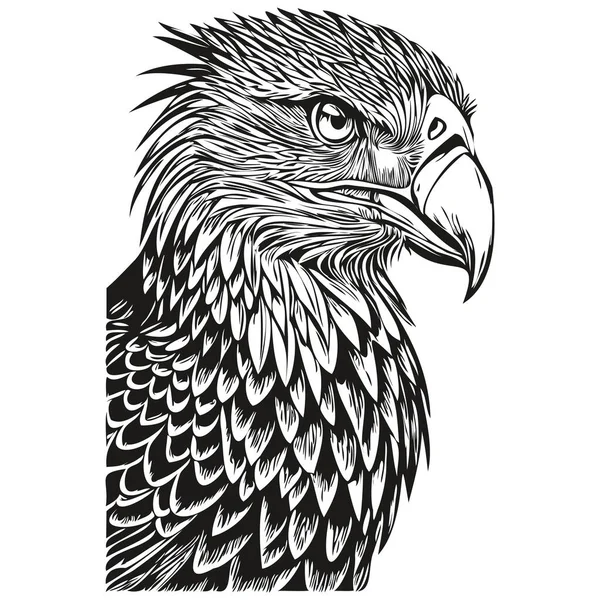Engrave Eagle Illustration Vintage Hand Drawing Style Bir — Stock Vector