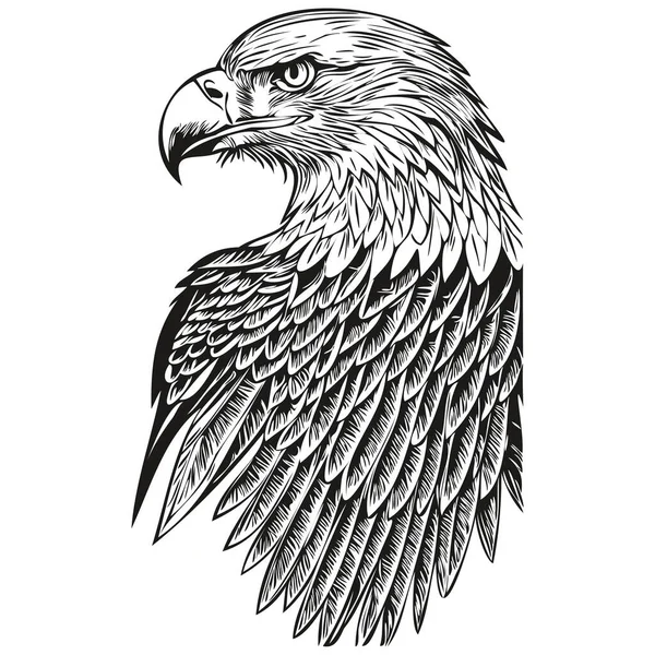 Смішний Мультяшний Орел Лінійне Мистецтво Ілюстрація Чорнила Ескіз Птаха — стоковий вектор