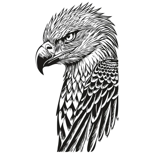 Handgezeichneter Adler Auf Weißem Hintergrund Bir — Stockvektor