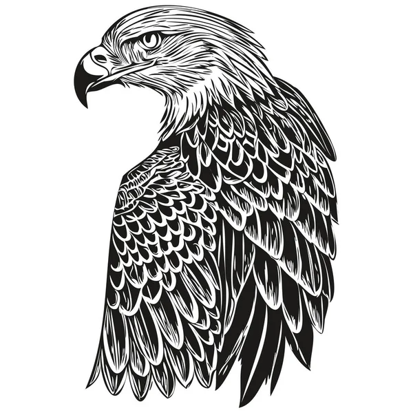 Vector Águila Realista Ilustración Animal Dibujado Mano Bir — Archivo Imágenes Vectoriales