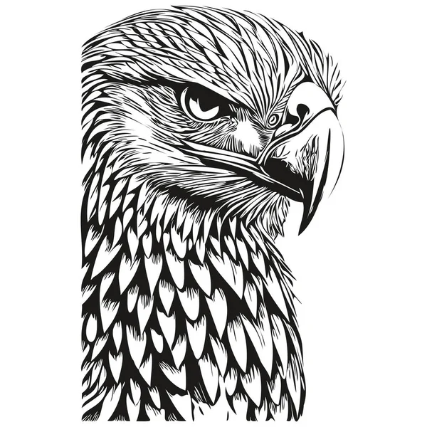 Hand Drawn Eagle White Background Bir — Stock Vector