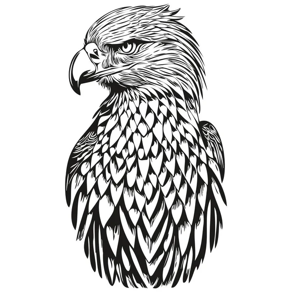 白い背景に鷲のシルエットのベクトル画像 Bir — ストックベクタ
