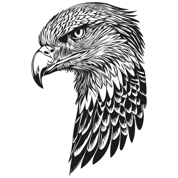 Vector Águila Realista Ilustración Animal Dibujado Mano Bir — Archivo Imágenes Vectoriales