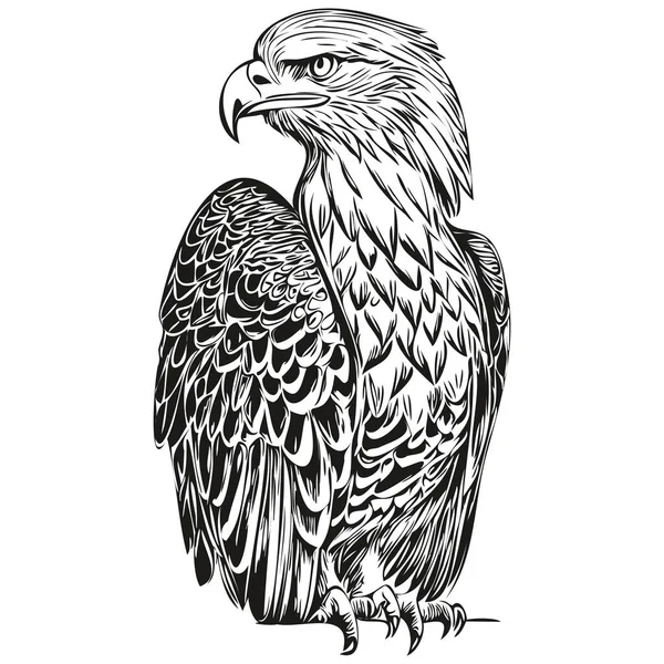 Винтажная Гравировка Изолированная Иллюстрация Орла — стоковый вектор