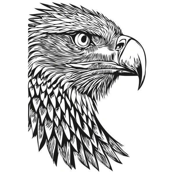 빈티지에그 레이브 고립된 독수리 스케치 — 스톡 벡터