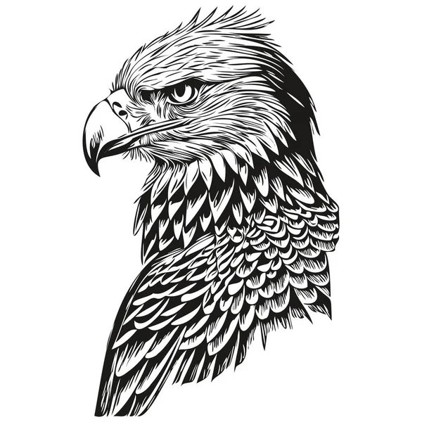 Чорно Біла Лінійна Фарба Малює Орел Векторні Ілюстрації Птах — стоковий вектор