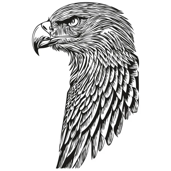Black White Linear Paint Draw Eagle Vector Illustration Bir — Stock Vector