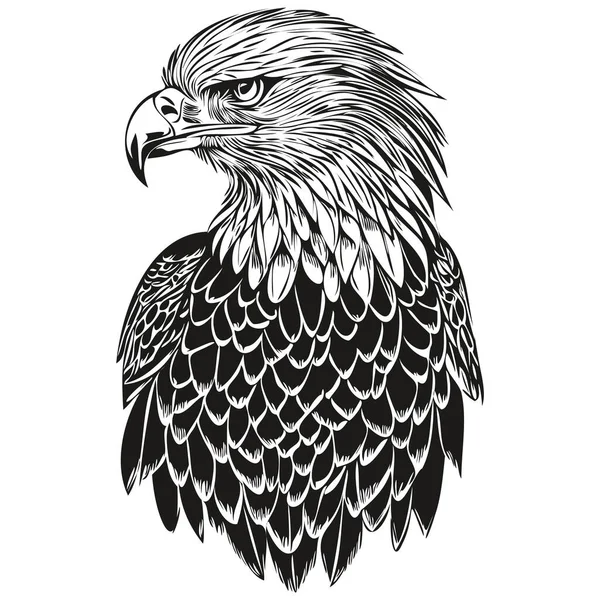 Lindo Águila Dibujada Mano Vector Ilustración Blanco Negro Bir — Vector de stock