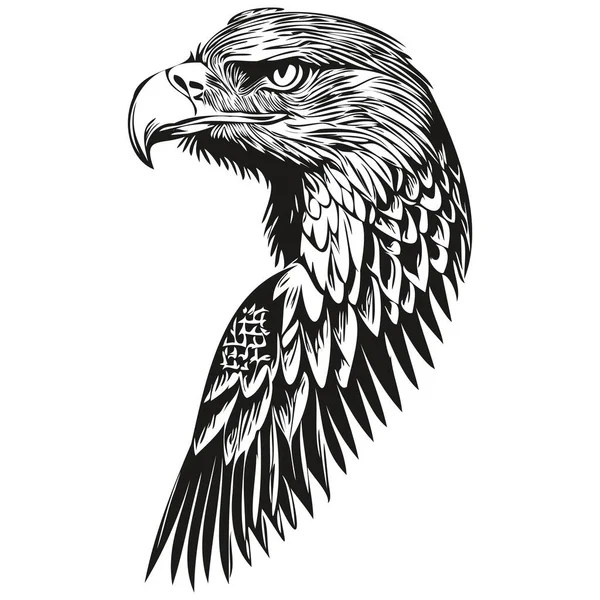 Ilustración Vintage Águila Vector Arte Blanco Negro Bir — Vector de stock