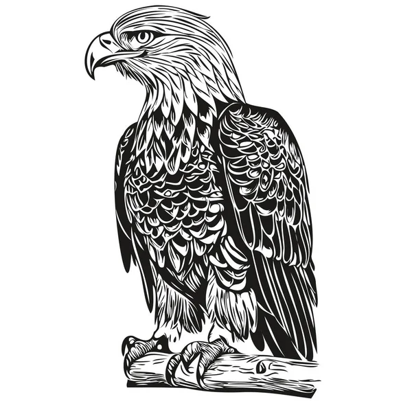 Eagle Vintage Illustration Schwarz Weiß Vektor Art Bir — Stockvektor