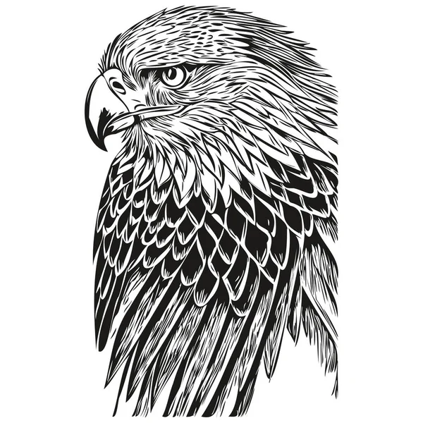 Eagle Vintage Illustration Black White Vector Art Bir — Stock Vector
