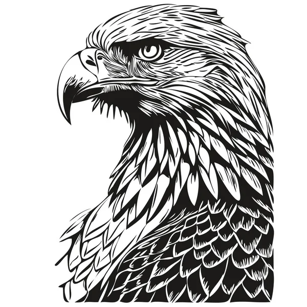 Орел Старовинна Ілюстрація Чорно Білий Векторний Художній Птах — стоковий вектор