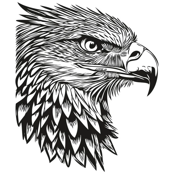Logo Aigle Illustration Noir Blanc Dessin Main Bir — Image vectorielle
