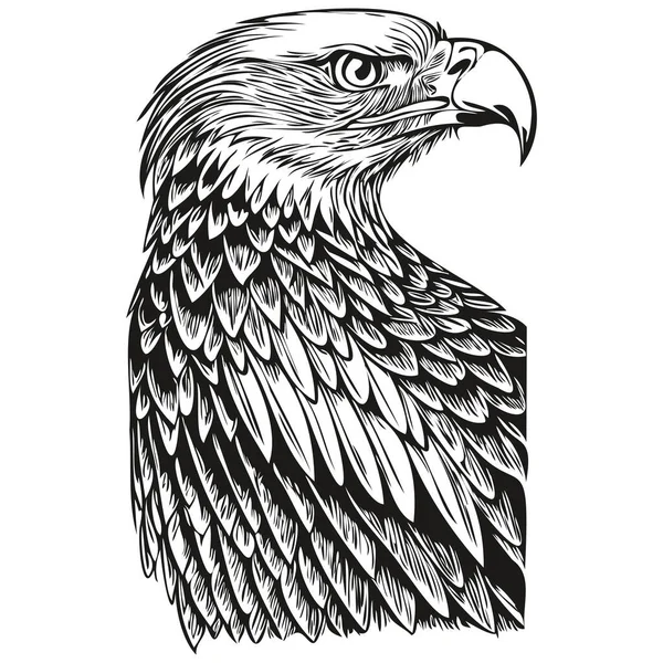イーグルロゴ 黒と白のイラストハンドドローイングベア — ストックベクタ