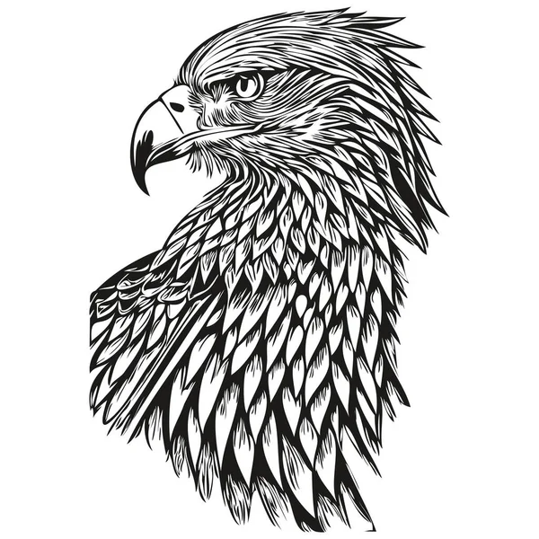 Adler Logo Schwarz Weiße Abbildung Handzeichnung Bir — Stockvektor