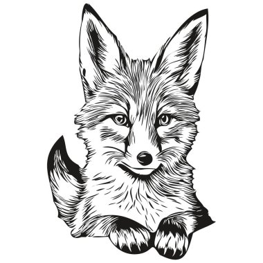 Şirin el çizimi tilki, vektör çizimi siyah ve beyaz tilki.