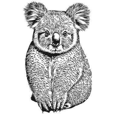 Koala hayvan koala bea 'lı şirin çocuklar el çizimi bebek odası posteri