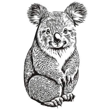 Koala logosu, siyah beyaz çizim el koala bea