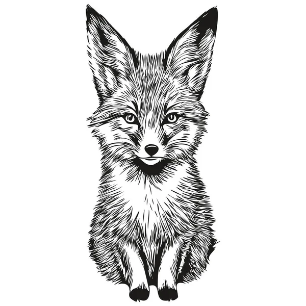 Cute Fox White Background Hand Draw Illustration Fox — Stock Vector