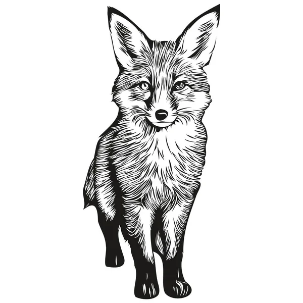 Roztomilé Děti Ručně Kreslené Dětský Plakát Liškou Zvíře Liška — Stockový vektor