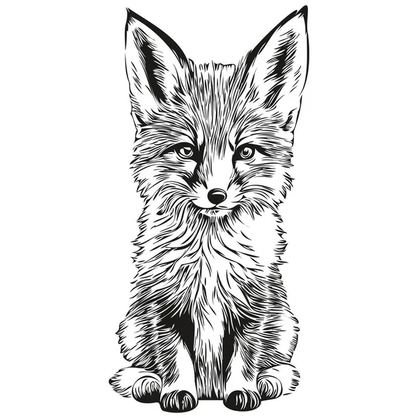 Engrave Fox Illustration Vintage Hand Drawing Style Fox — Stock Vector