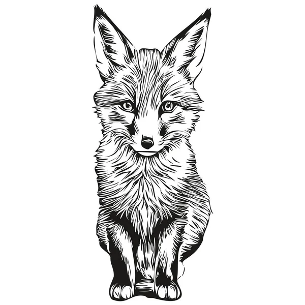 Fox Vintage Illustration Black White Vector Art Fox — Stock Vector