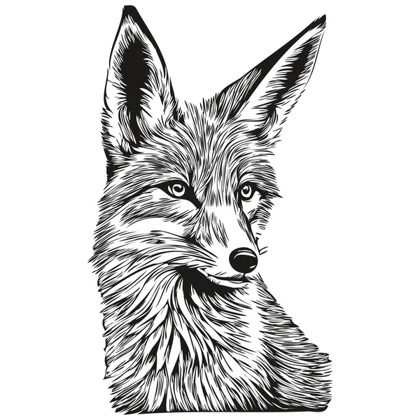 Liščí Skica Ruční Kresba Volně Žijících Živočichů Retro Rytý Styl — Stockový vektor