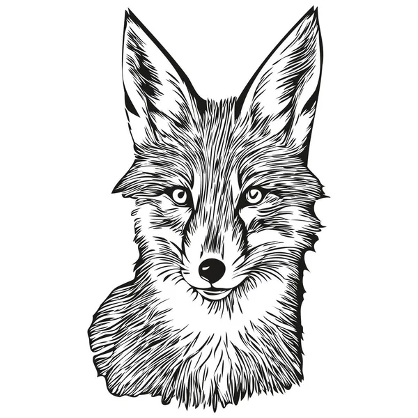 狐狸标志 黑白插图手绘狐狸头像 — 图库矢量图片