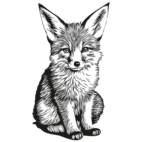 Αλεπού Σκίτσα Περίγραμμα Διαφανές Φόντο Ζωγραφισμένα Στο Χέρι Αλεπού — Διανυσματικό Αρχείο