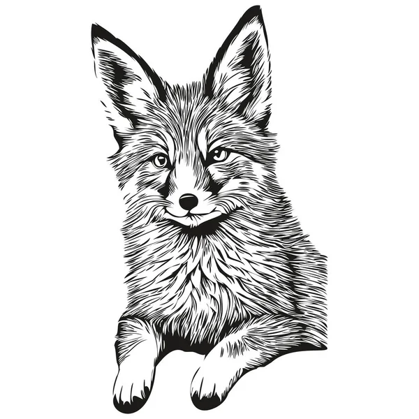 Fox Sketchy Graficzny Portret Lisa Białym Tle Fox — Wektor stockowy
