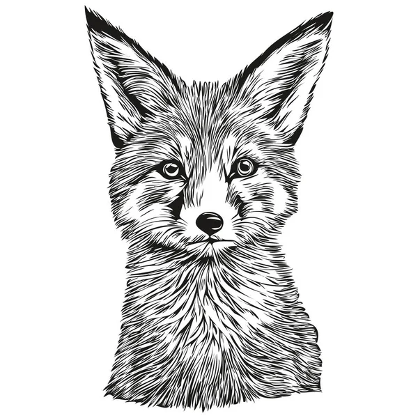 狐スケッチ 白い背景の狐の肖像画 狐クー — ストックベクタ