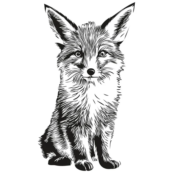 Liška Kreslená Grafický Portrét Lišky Bílém Pozadí Liška — Stockový vektor