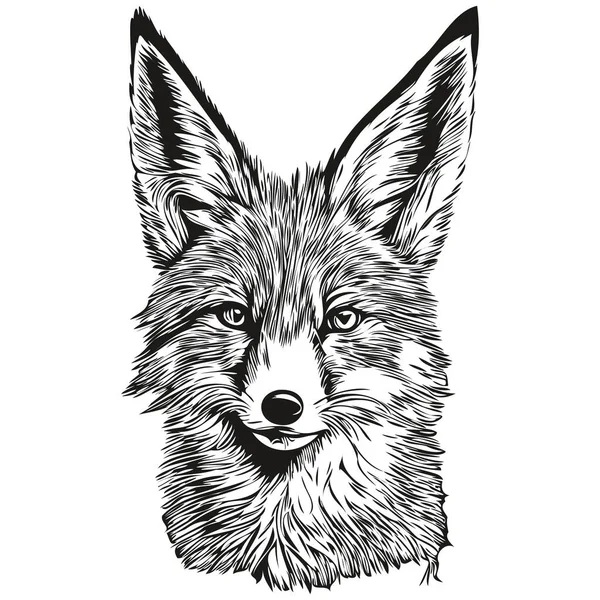 狐ベクトルイラスト線画黒と白の狐クー — ストックベクタ