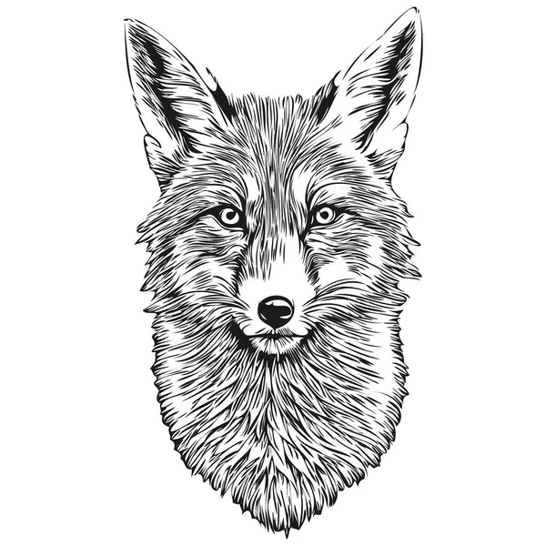 狐ベクトルイラスト線画黒と白の狐クー — ストックベクタ