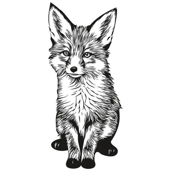 Αστεία Αλεπού Κινουμένων Σχεδίων Γραμμή Τέχνη Εικονογράφηση Μελάνι Σκίτσο Αλεπού — Διανυσματικό Αρχείο