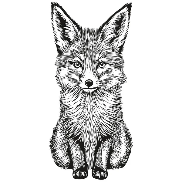 Funny Cartoon Fox Line Art Illustration Ink Skica Fox — Stockový vektor