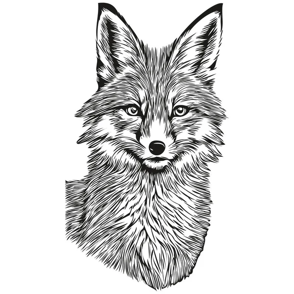 Ręcznie Rysowane Lisy Kreskówki Wektor Vintage Ilustracja Fox — Wektor stockowy