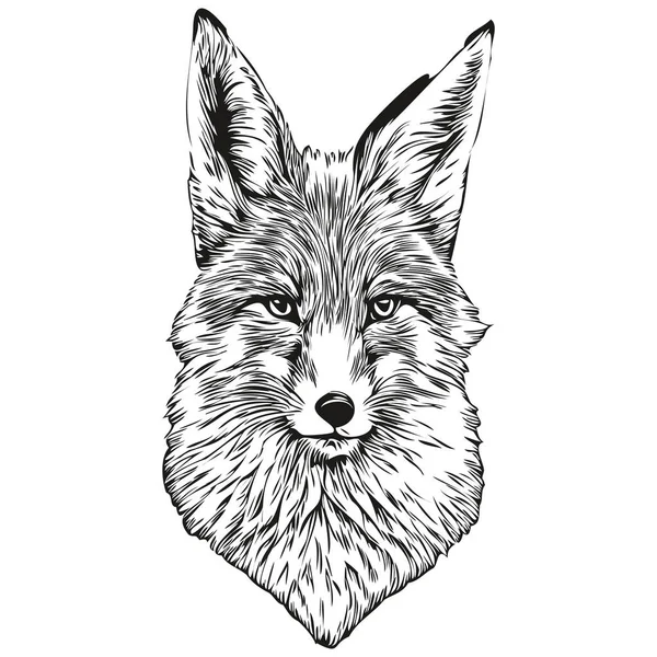 Χειροποίητη Αλεπού Λευκό Φόντο Fox — Διανυσματικό Αρχείο