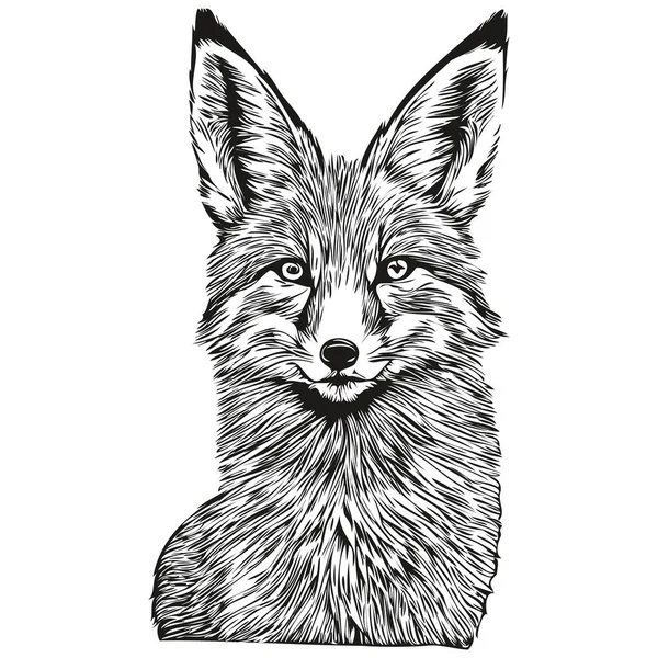 Volpe Disegnata Mano Sfondo Bianco Fox — Vettoriale Stock