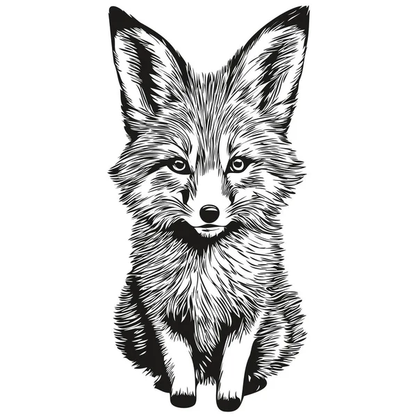 Χειροποίητη Αλεπού Λευκό Φόντο Fox — Διανυσματικό Αρχείο