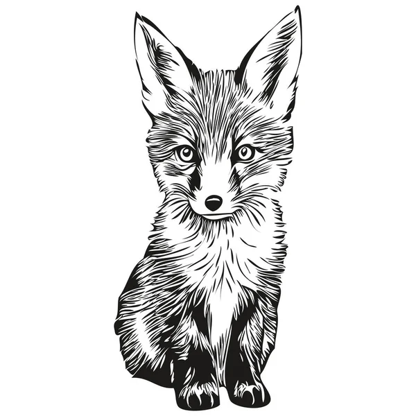 Realistyczny Wektor Lisa Ręcznie Rysowane Zwierzę Ilustracja Fox — Wektor stockowy