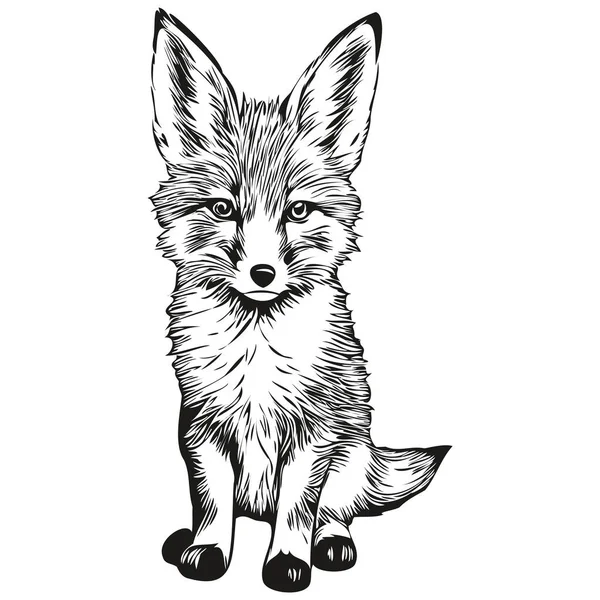 Realistic Fox Vector Hand Drawn Animal Illustration Fox — Stock Vector