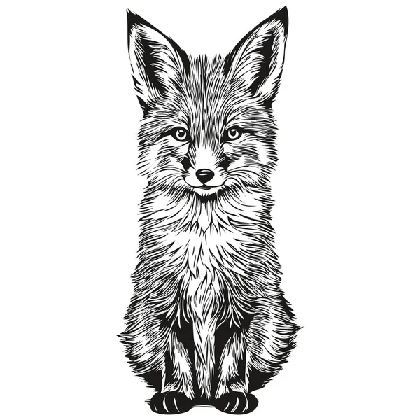 Ρεαλιστική Φορέα Αλεπού Ζωγραφισμένα Στο Χέρι Ζώων Εικονογράφηση Αλεπού — Διανυσματικό Αρχείο